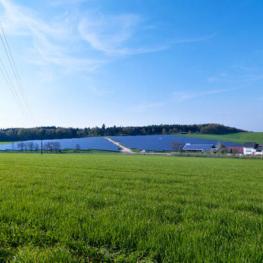 Torfige und organische Böden